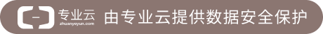 专业云提供数据安全保护
